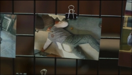 Beyond Paradise - Season 02 Episode 01